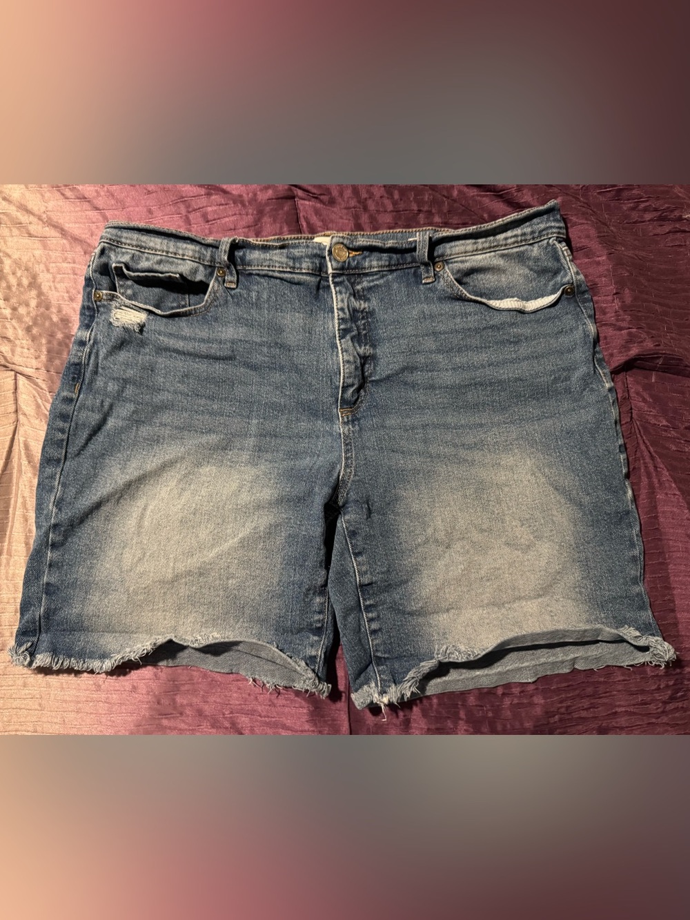 Sofia Jeans Womens Denim Cutoff Shorts